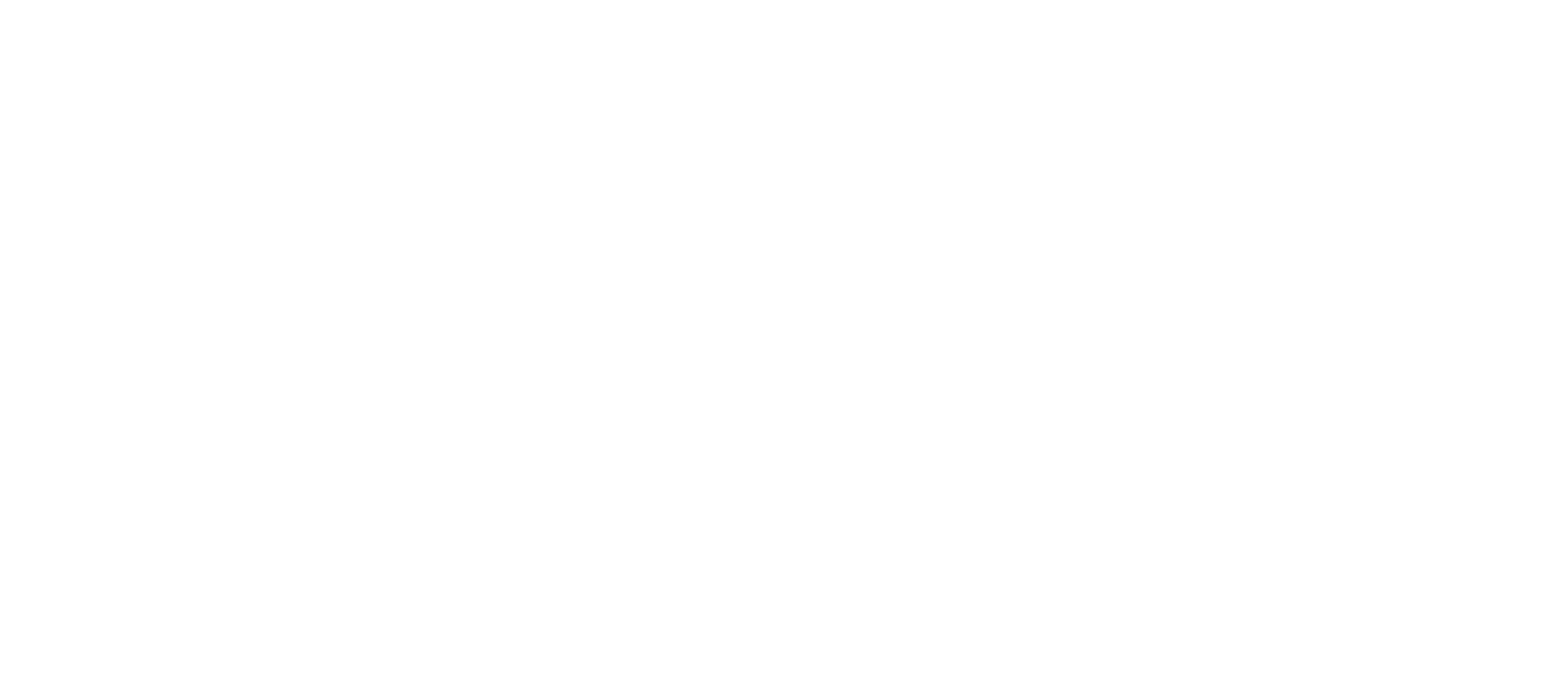 roger_cannon_logo_reversed_MEDIUM